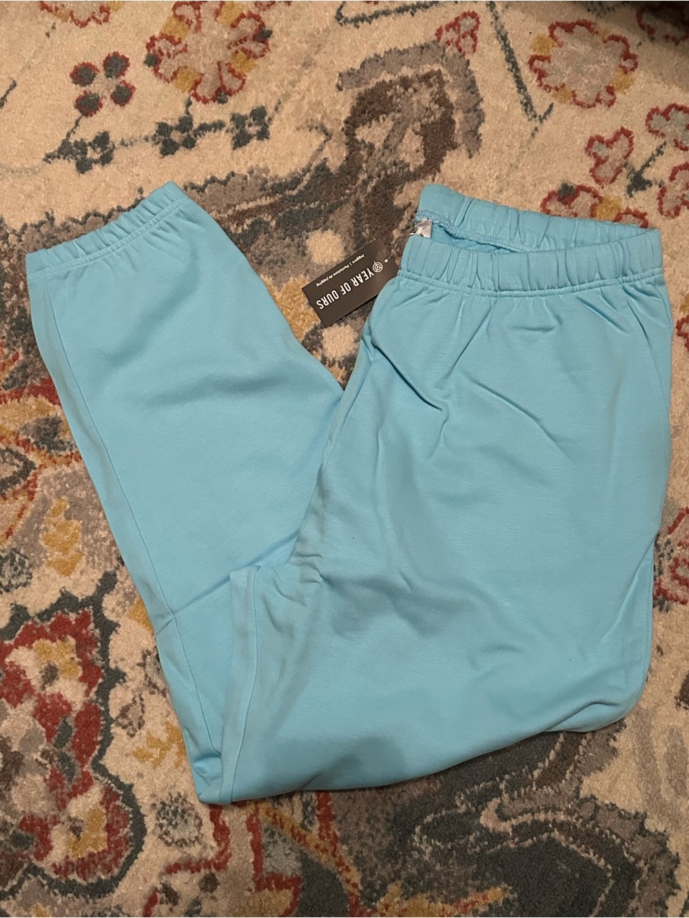 Light Blue Women’s Jogger Pants - Year Of Ours XL/2XL NWT